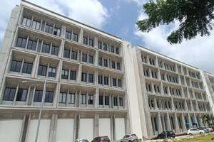 image-here